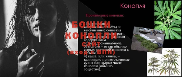 сатива Новодвинск
