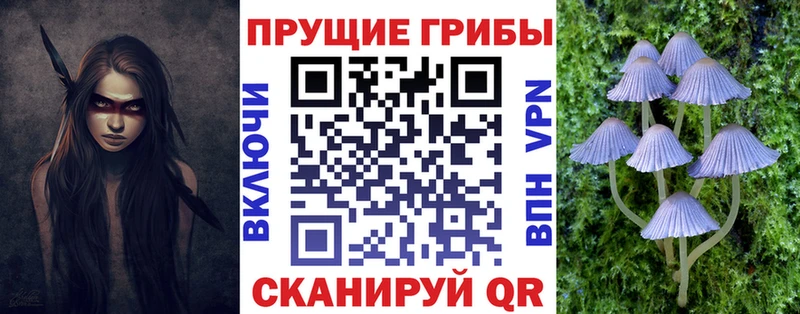 наркошоп  Карабулак  Галлюциногенные грибы ЛСД 
